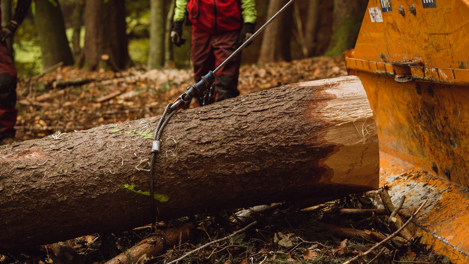 Un tronc d'arbre coupé est attaché à une machine.